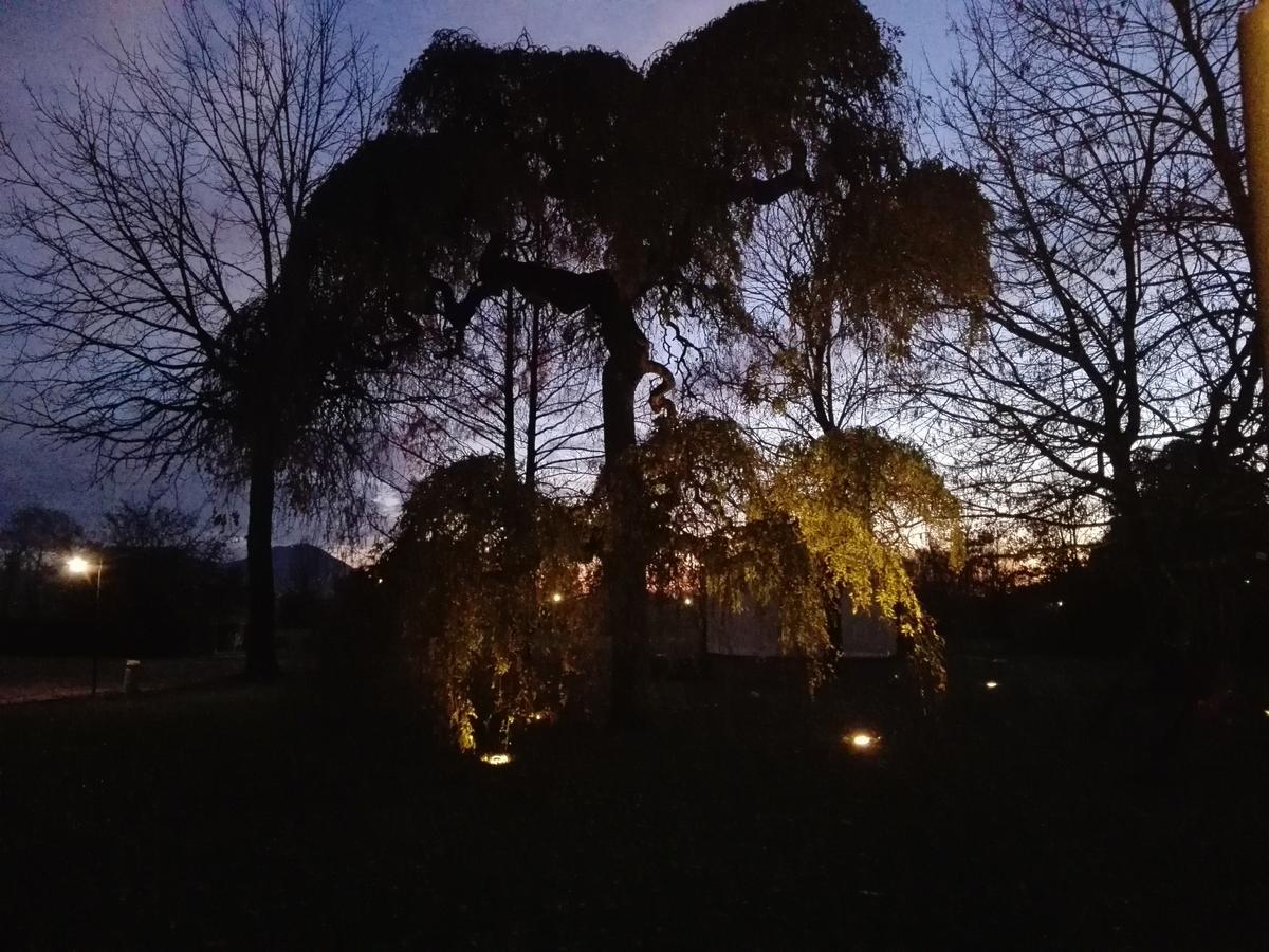 Agriturismo La Sophora Montegaldella Екстериор снимка