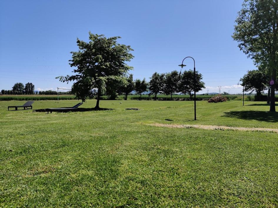 Agriturismo La Sophora Montegaldella Екстериор снимка